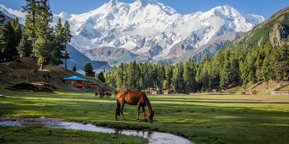 Fairy Meadows Naran Valley