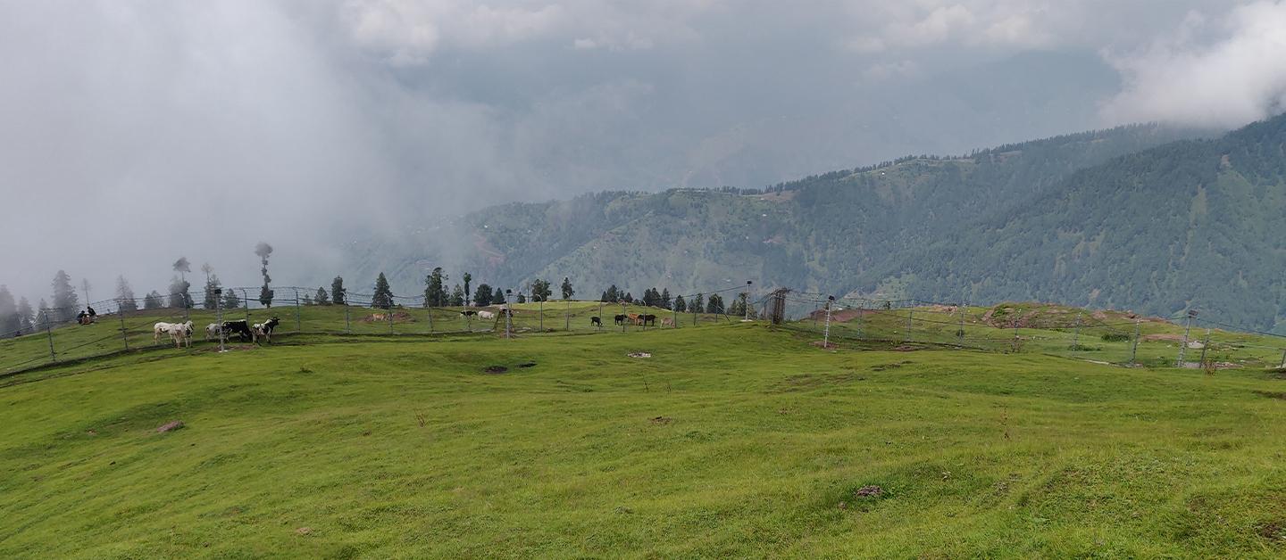 Muzaffarabad Pir Chinasi