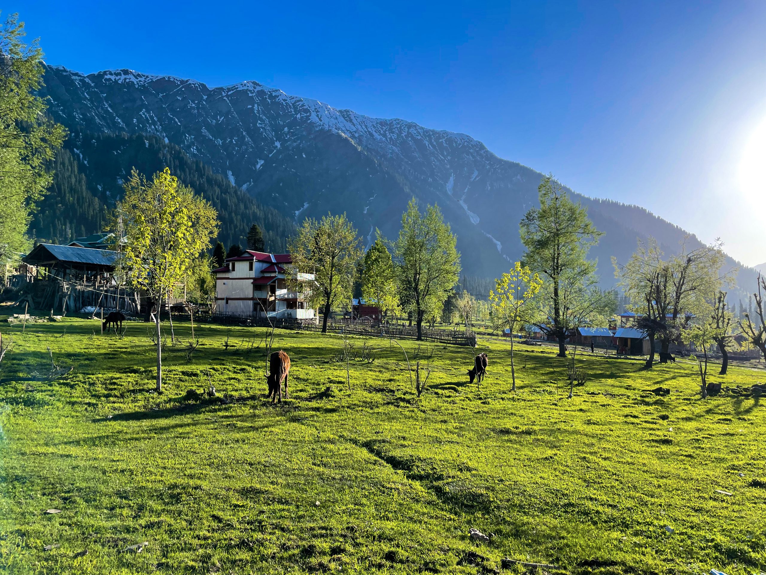 Arangkel Kashmir Valley